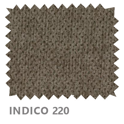 Indico 220